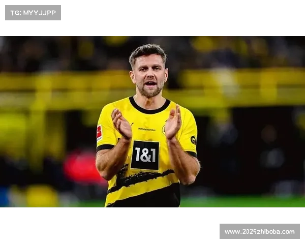 多特蒙德2-0轻取霍芬海姆,罗伊斯定位球破门锁定胜局